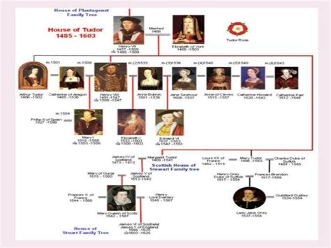 dinastia tudor sintesi|house of tudor timeline.